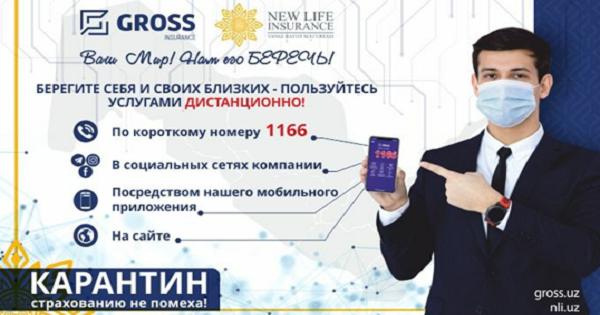 Gross Insurance pays insurance claims online